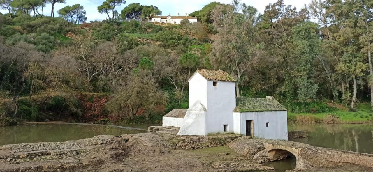 La Casa Del Cura 1935 Apartman Alcalá de Guadaira Kültér fotó